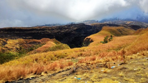Sampah berupa botol-botol plastik hingga bekas bungkus  permen bertebaran sepanjang jalan. ASUS ZENFONE  6/novi abdi/Antara