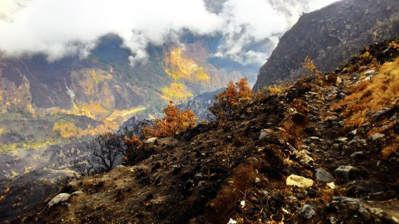 Jalan Setapak menuju Segara Anak di lereng Plawangan Sembalun, di ketinggian 2600 mdpl di  Gunung Rinjani.