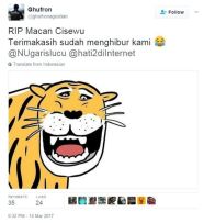 macan4